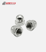 Ecrous Borgne Inox 10 Pièces